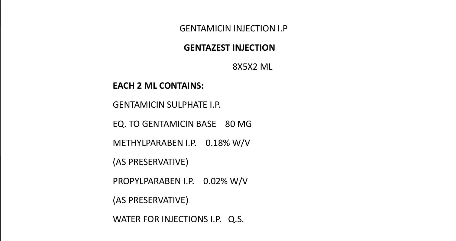 GENTAZEST INJECTION 2 ML